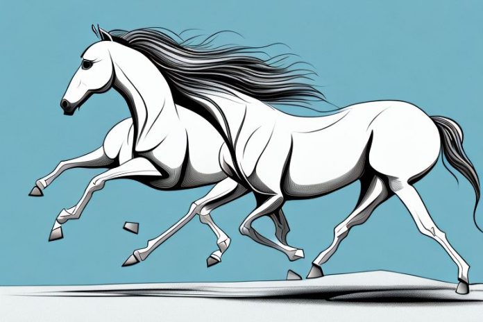An arabian horse galloping through the western cape landscape