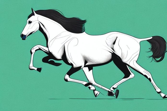 A thoroughbred horse galloping through a field in pinetown