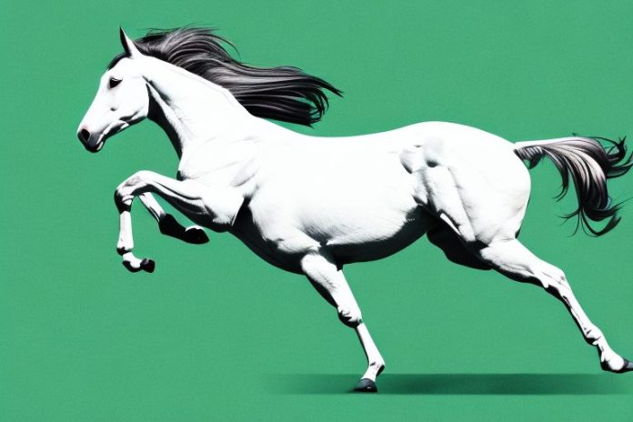 A thoroughbred horse galloping across a grassy field in the free state