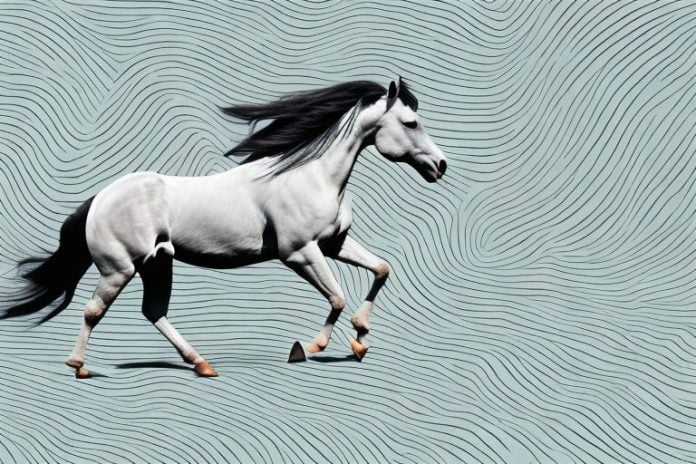 A horse in motion