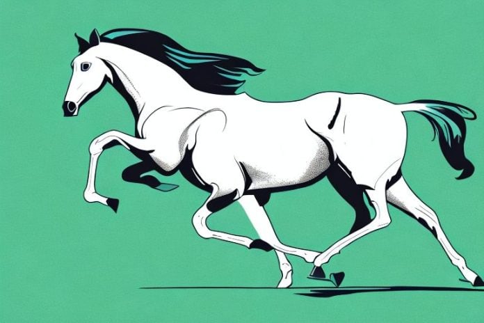 A thoroughbred horse galloping in a field in vanderbijlpark