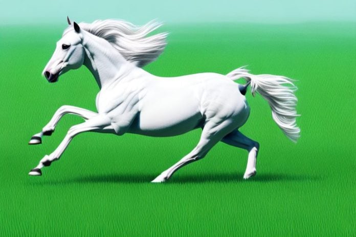 A thoroughbred horse galloping through a field of lush grass in centurion