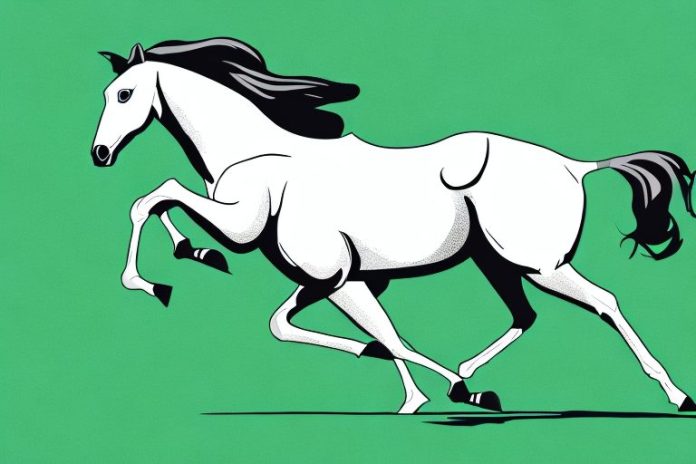 A thoroughbred horse galloping in a grassy field in polokwane