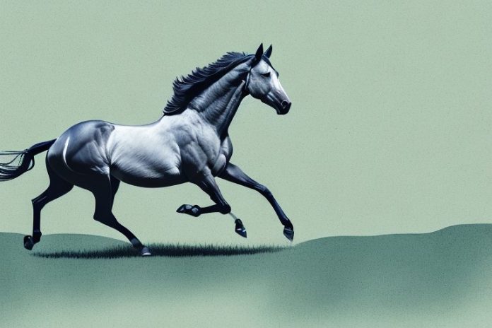 A thoroughbred horse galloping through a rural landscape near middelburg