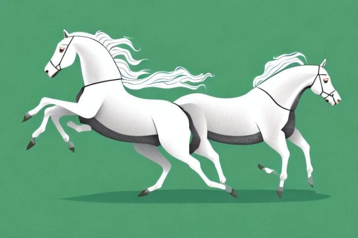A horse and rider galloping across a grassy field in postmasburg