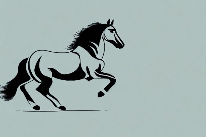 A horse and rider galloping across a wide-open landscape in calvinia