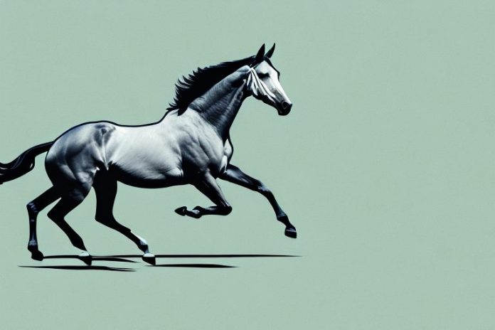 A thoroughbred horse galloping through a scenic landscape in hartbeespoort