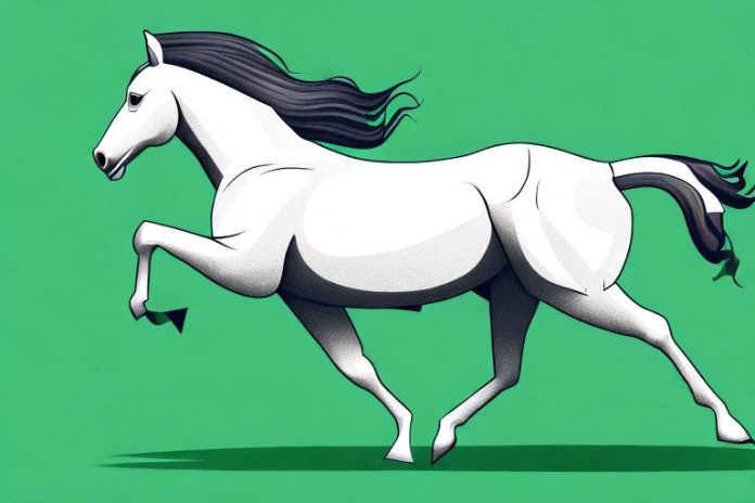 A thoroughbred horse galloping across a grassy field in vryburg