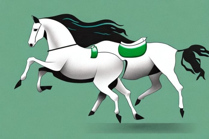 A horse and rider galloping across a grassy field in the paarl area