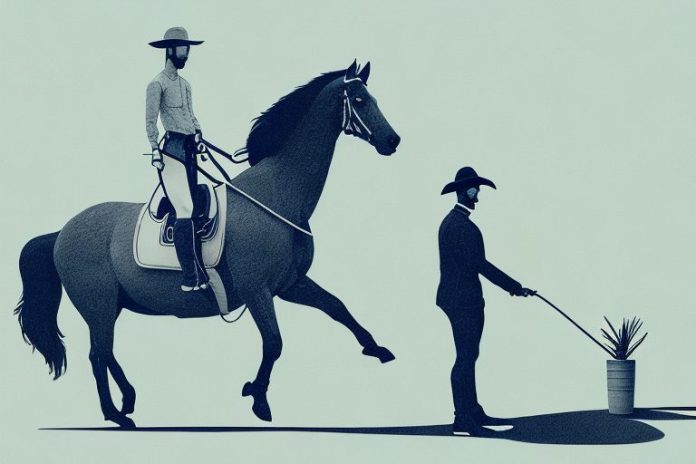 A horse and rider in the countryside of oudtshoorn