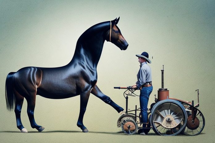 A morgan horse being ridden in a rural setting