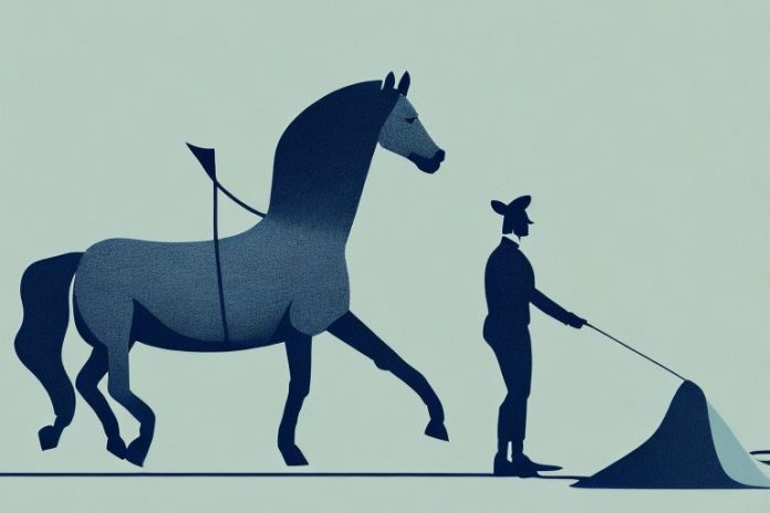 A horse and rider in the umhlanga landscape