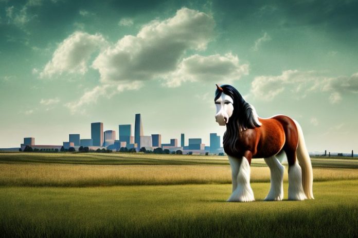 A clydesdale horse in a rural setting