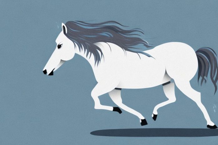 A majestic icelandic horse galloping through the countryside of aliwal north