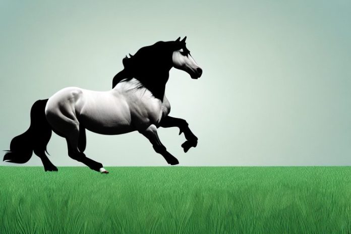A friesian horse galloping through a grassy field in botshabelo