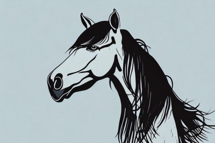 A friesian horse in kroonstad