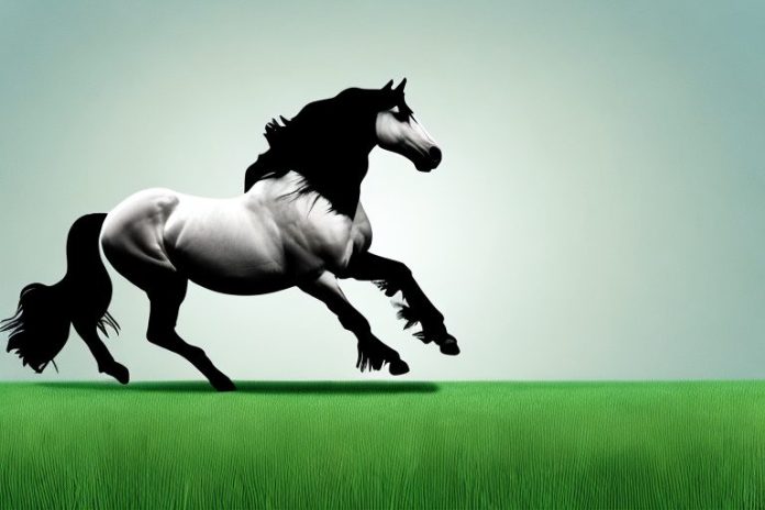 A friesian horse galloping across a grassy field in the east rand