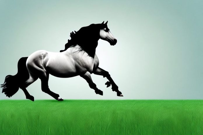 A friesian horse galloping through a grassy field in randburg