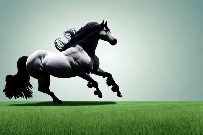 A friesian horse in motion