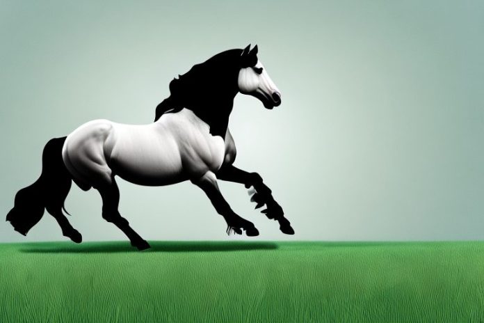 A friesian horse galloping in a grassy field in kuruman
