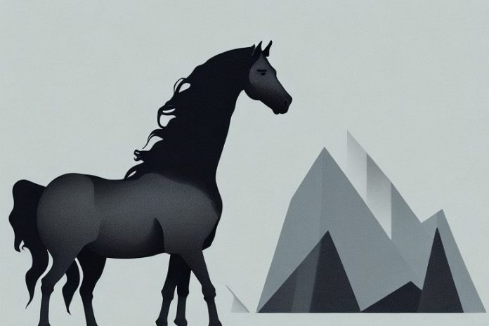 A friesian horse in a kathu landscape