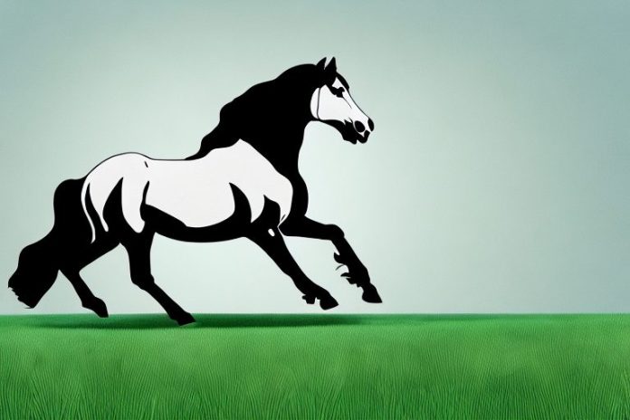 A friesian horse galloping across a grassy field in mafikeng