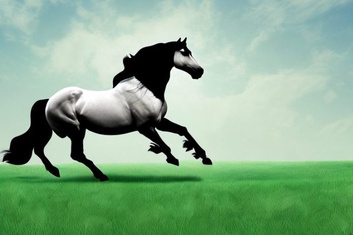 A friesian horse galloping through a grassy landscape in stilfontein