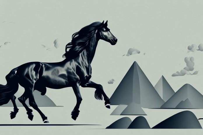A friesian horse galloping through a scenic landscape in knysna