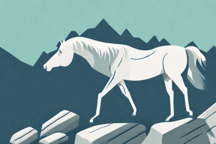 A horse in a rocky mountain landscape