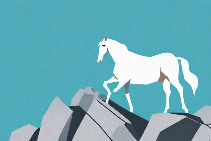 A horse standing on a rocky mountain in the northern cape