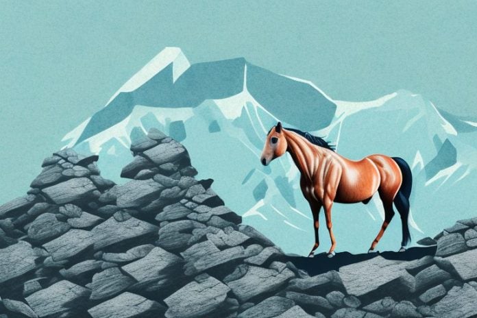 A horse standing on a rocky mountain in orkney