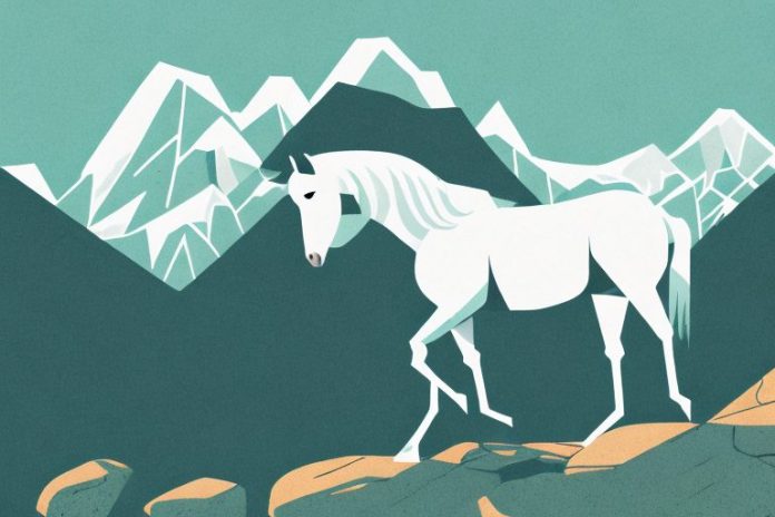 A horse in the rocky mountains