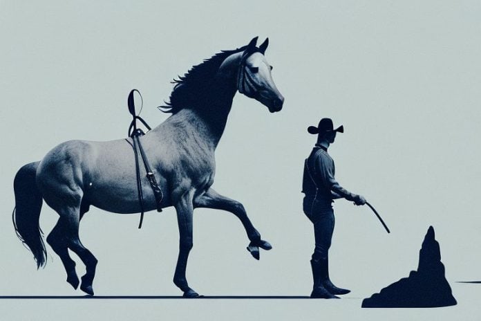 A horse and rider in the rocky mountains of oudtshoorn
