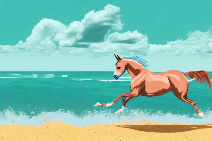 A dutch warmblood horse galloping along a beach in jeffreys bay