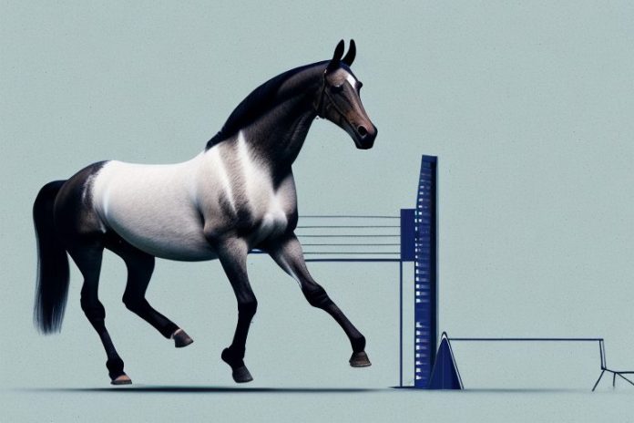 A dutch warmblood horse in a riding arena in johannesburg