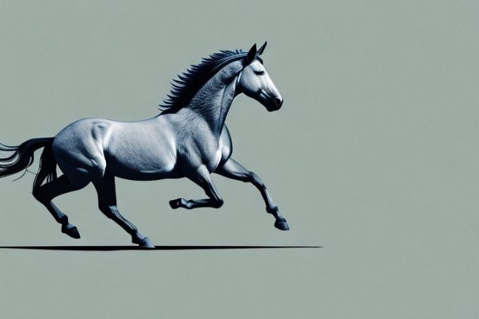 A mustang horse galloping through the richards bay landscape