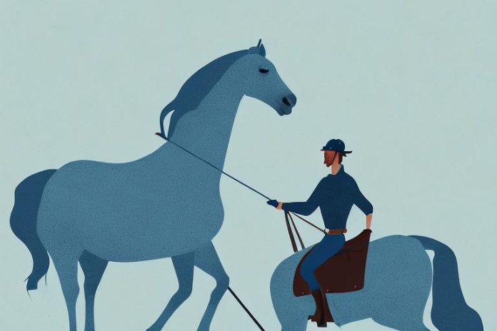 A horse and rider in the icelandic countryside