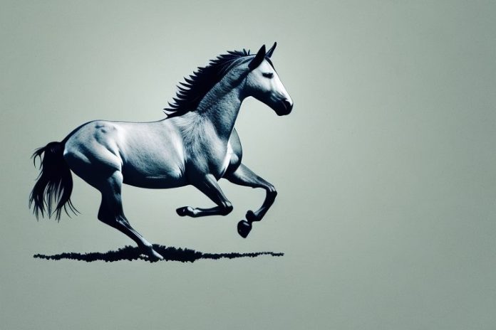 A wild mustang horse galloping through the bethlehem countryside