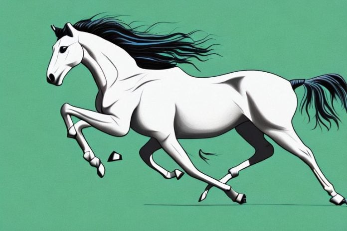 A mustang horse galloping through a grassy field in modimolle