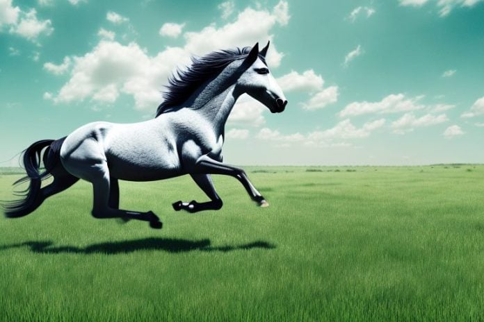 A wild mustang horse running across a grassy field in delmas