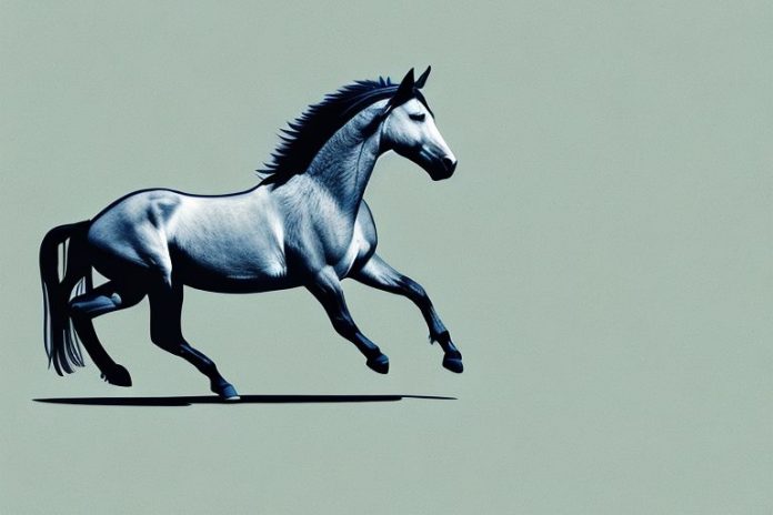 A mustang horse galloping through a scenic landscape in lydenburg