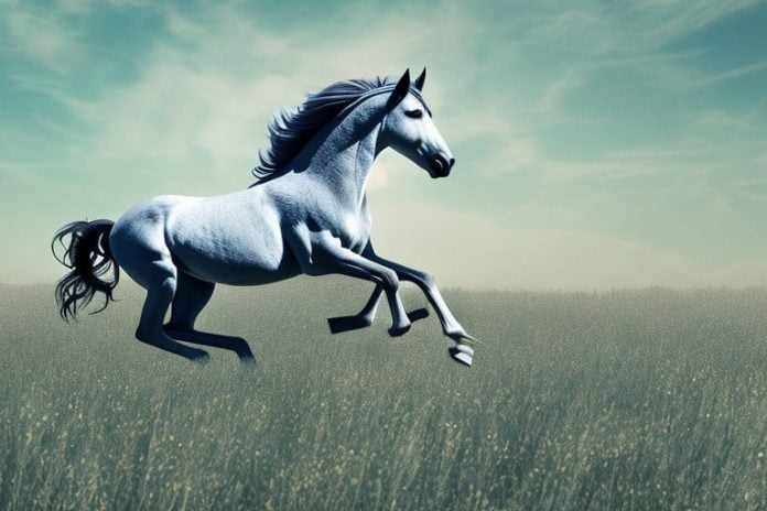 A wild mustang horse running through a field in stilfontein