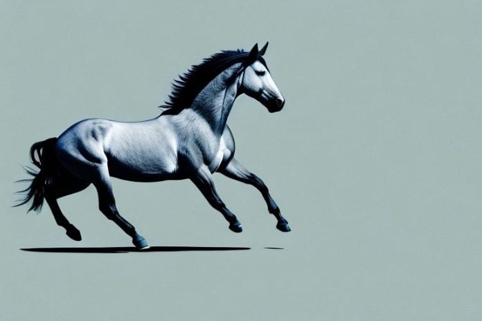 A mustang horse galloping through the landscape of cape town