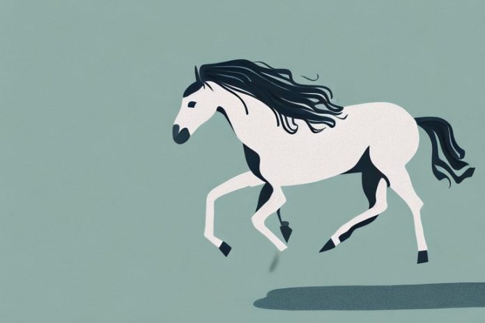 A brumby horse galloping in a margate landscape