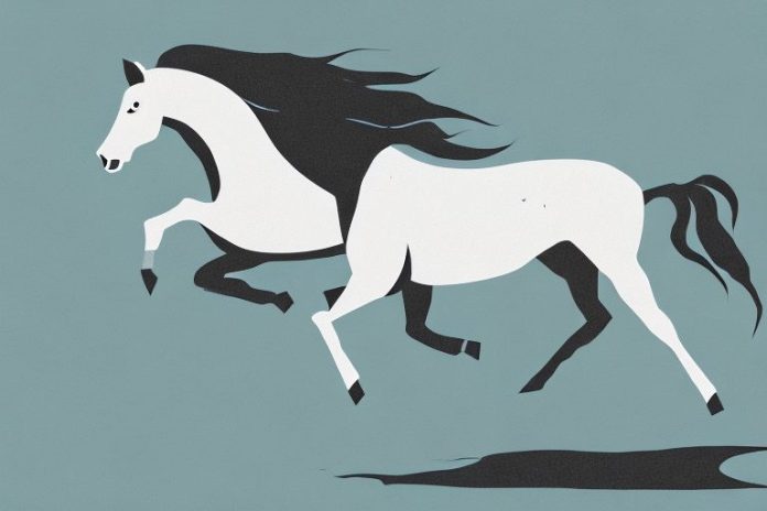 A brumby horse galloping through the landscape of port elizabeth