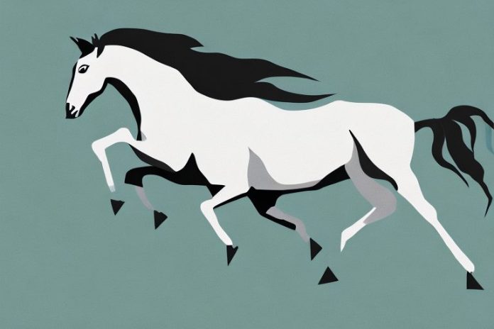 A wild brumby horse galloping through the uitenhage countryside