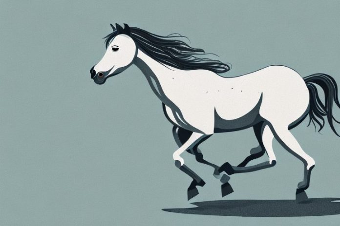 A brumby horse galloping through the countryside of bisho