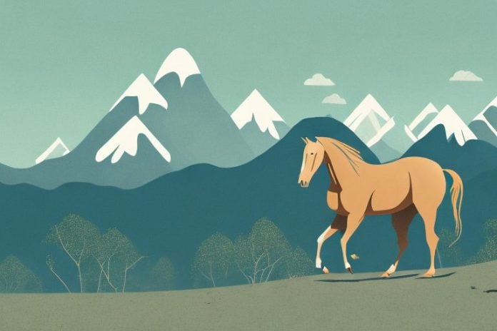 A brumby horse in a natural landscape