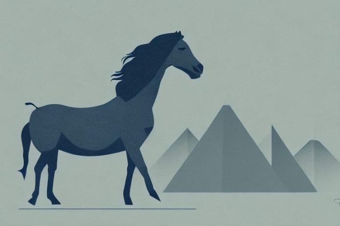 A brumby horse in a gauteng landscape