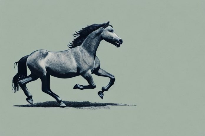 A brumby horse galloping through the landscape of musina